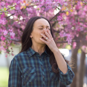 Allergia-1-rmfkzgpobjv4nhhm5q2cj6apnz1mkczomk4rwf1ho8